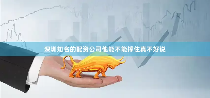 深圳知名的配资公司他能不能撑住真不好说