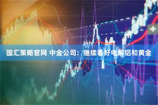 国汇策略官网 中金公司:继续看好电解铝和黄金