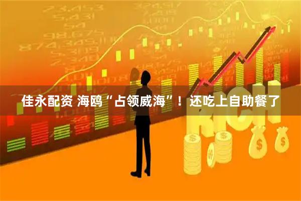 佳永配资 海鸥“占领威海”!还吃上自助餐了